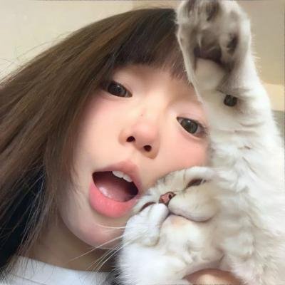 蓝色杰伊